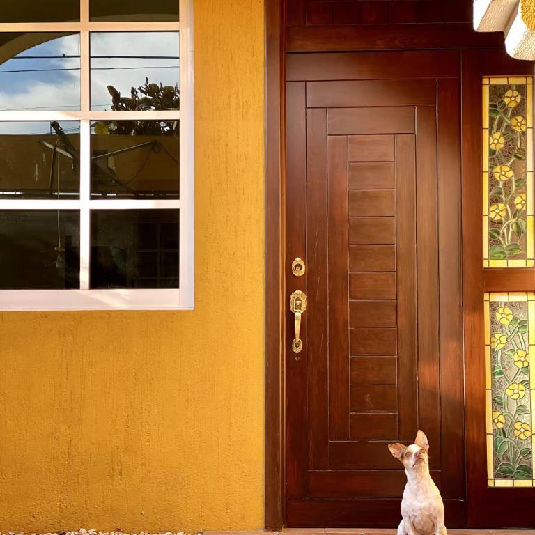 Family Size - 4BR House in Oaxaca - Peaceful - Apartamento - 17