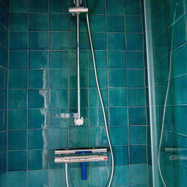 Chambre privée non verrouillée dans un appartement partagé - avec chien - Chambre Simple avec Salle de Bains Commune - 19