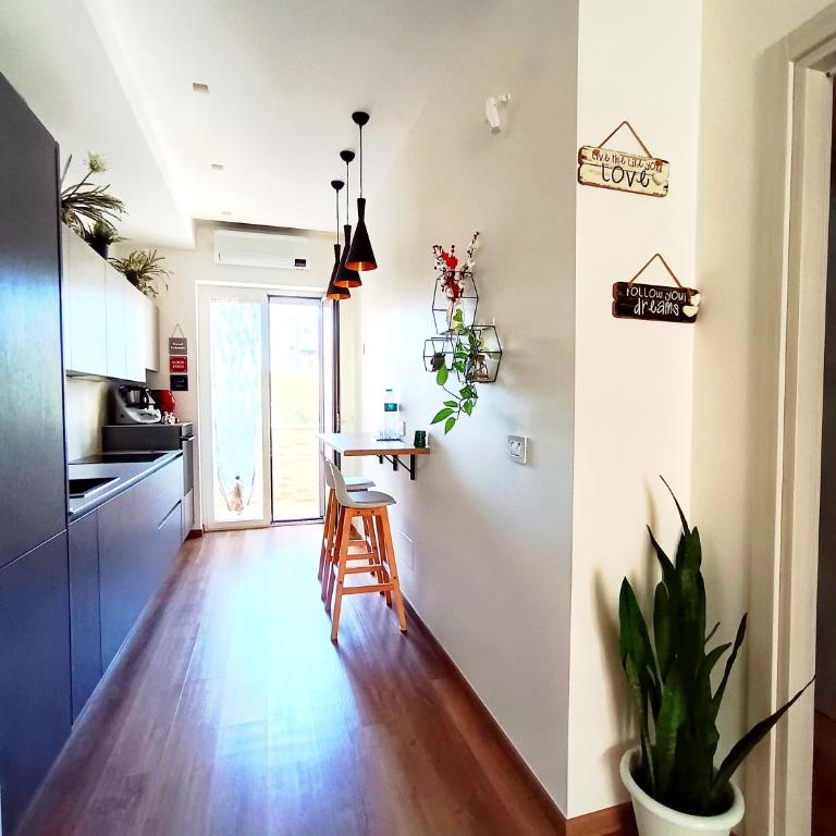 Serendipity - Superior One-Bedroom Apartment - 9
