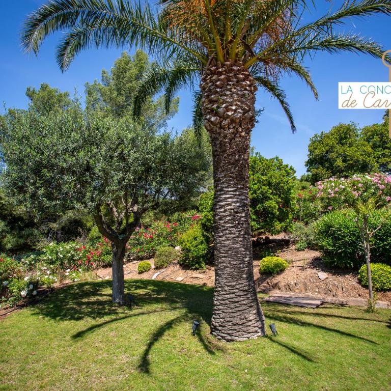 cantemare - Villa avec Piscine Privée - 30