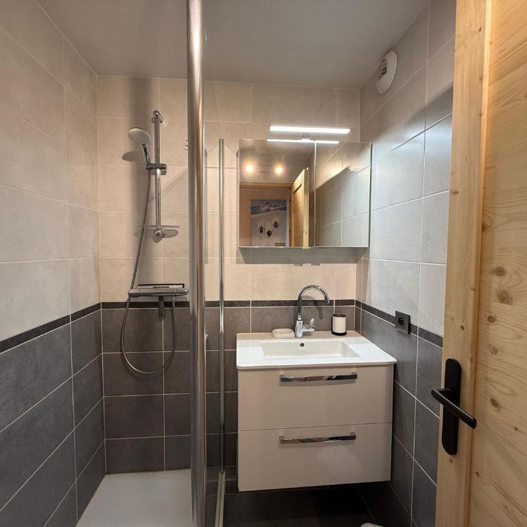 Les Saisies : Appartement 2 pièces cabine, 4 pers, 28 m², animaux admis - One-Bedroom Apartment - 8