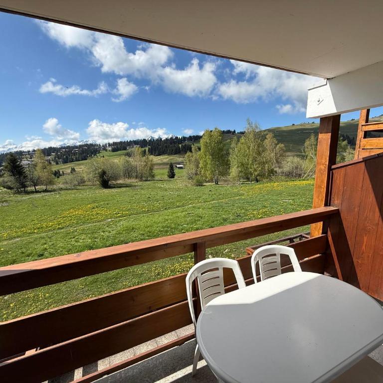 Les Saisies : Appartement 2 pièces cabine, 4 pers, 28 m², animaux admis - One-Bedroom Apartment - 16