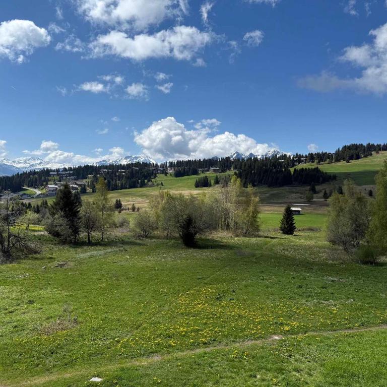 Appartement aux Saisies - Jusqu'à 6 pers, 2 pièces, 28.90m², vue pistes - Appartement 1 Chambre - 12