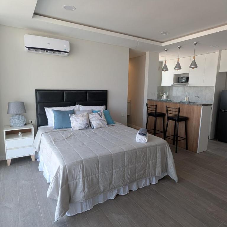 Hermoso departamento monoambiente - One-Bedroom Apartment - 1
