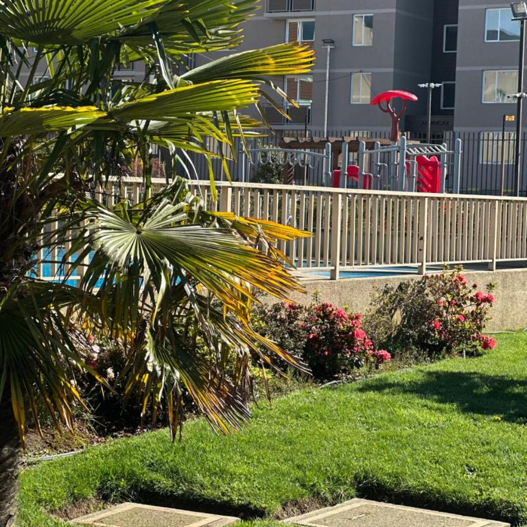 Volcano View Apartments - Apartamento - Planta baja - 20