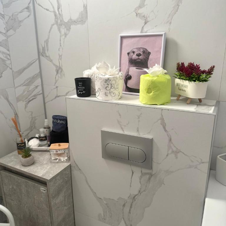 Old Town Loft Sarajevo, with Free Parking - Apartman sa 2 Spavaće Sobe - 39