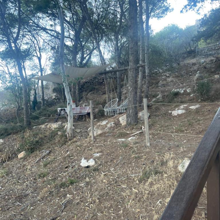 La Pineta - Vacation Home - 2