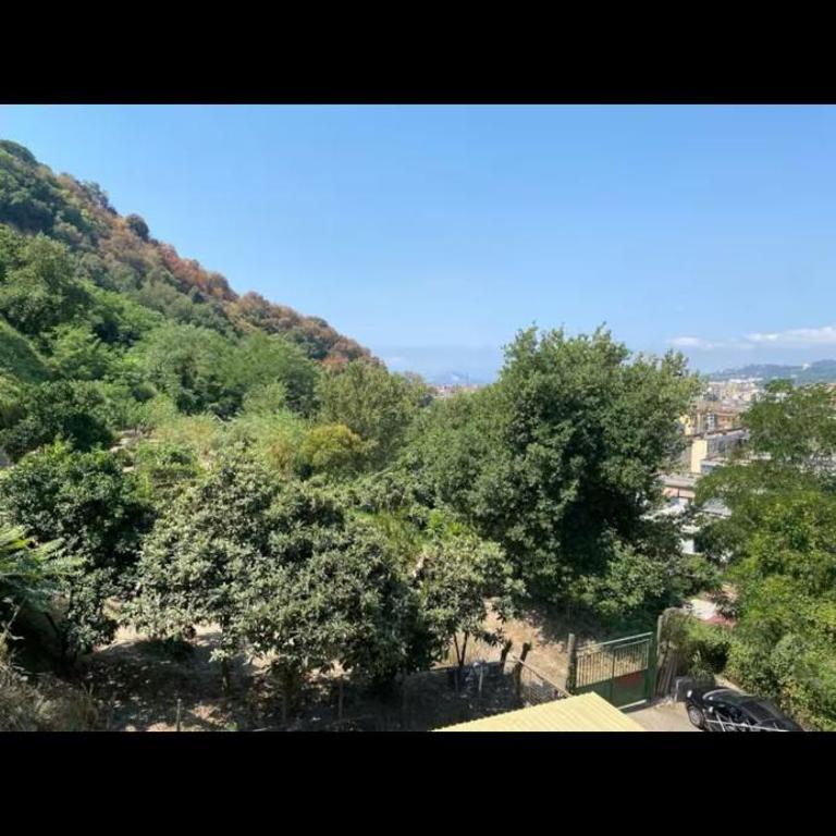 Casa olly - Appartement 1 Chambre - 15