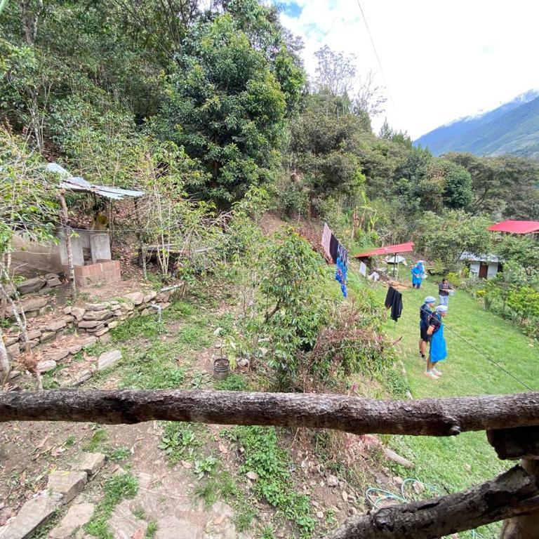 Anita lodge - Habitación Doble - 1 o 2 camas - 3