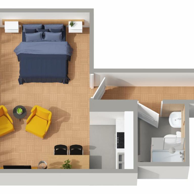 HSH Elegant Vaudois - Superior Studio - 3
