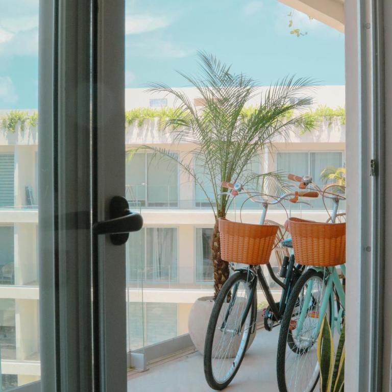 Stylish Playacar Condo with Balcony & Pool - Apartamento Deluxe de 2 dormitorios con vistas al jardín - 5