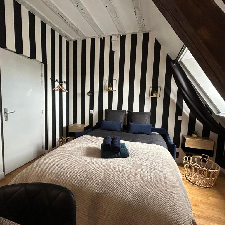 Le petit Lemullier, hypercenter - Studio - 5