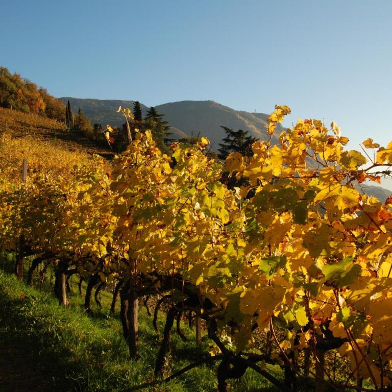 Weingut Messnerhof - Appartamento con 2 Camere da Letto - 29