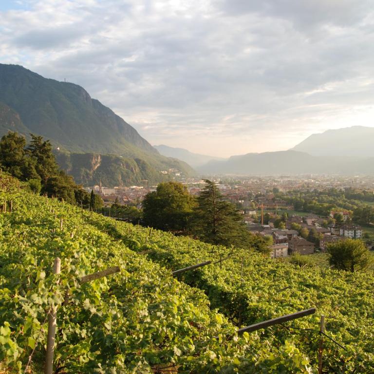 Weingut Messnerhof - Appartamento con 2 Camere da Letto - 26