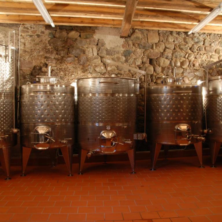 Weingut Messnerhof - Appartamento con 2 Camere da Letto - 22