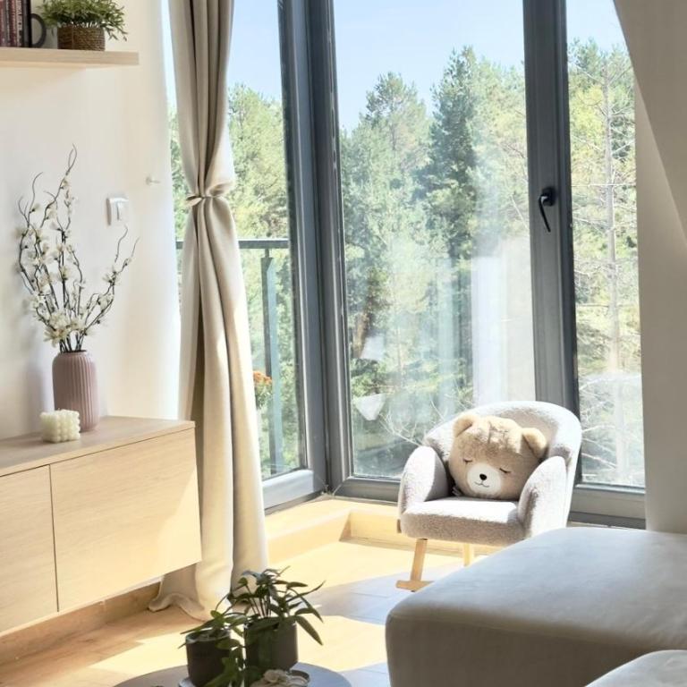 Dorin Kutak, Green Hills Divčibare - Apartman sa 1 Spavaćom Sobom - 3