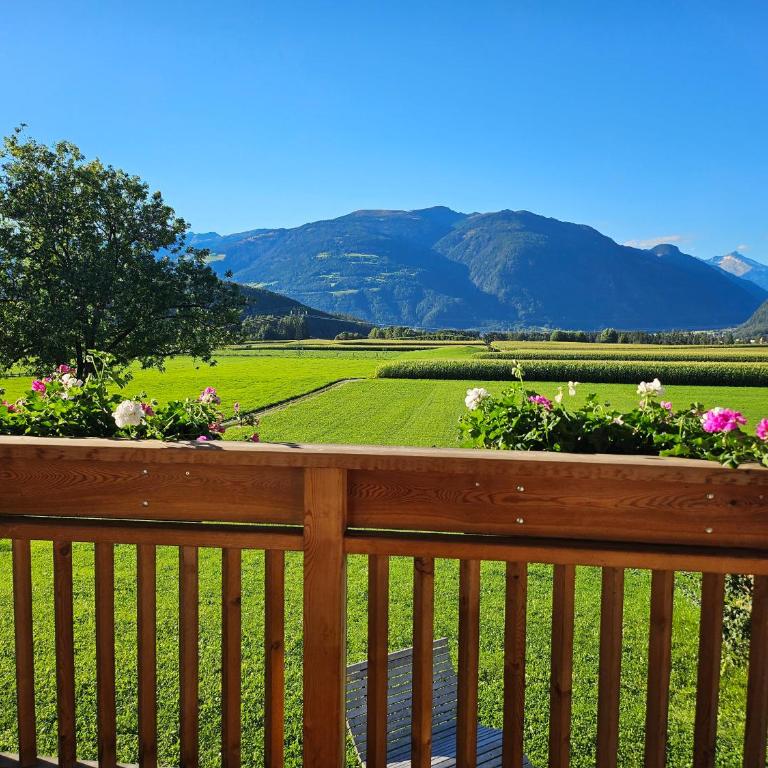 Krebslechnerhof - Appartamento - 1