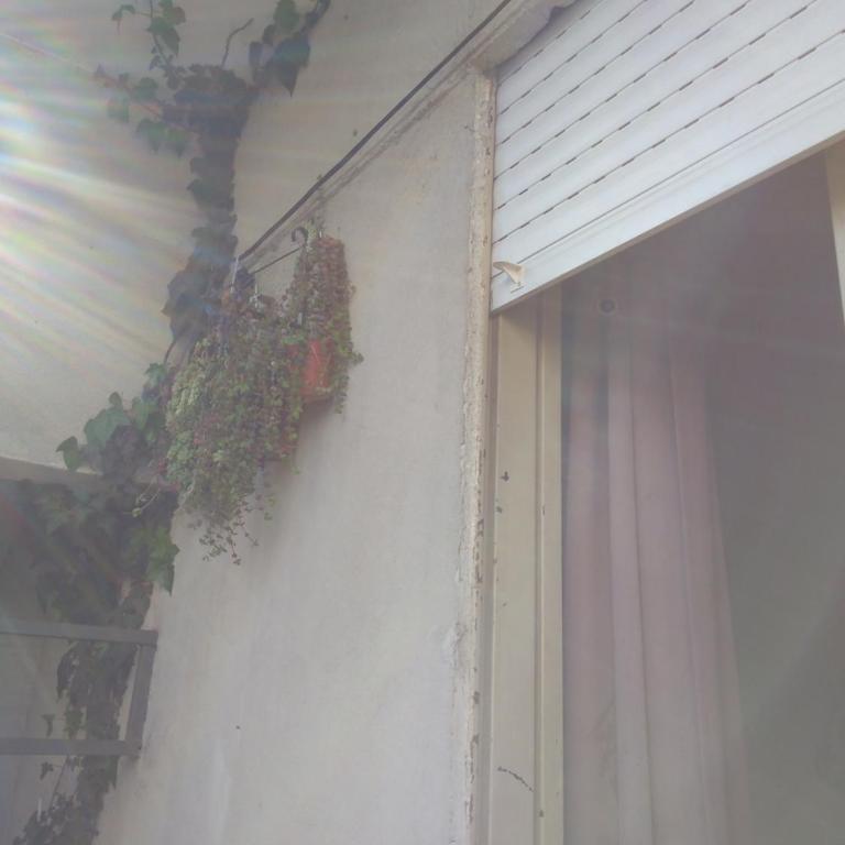 Amy - Habitación Individual - 3