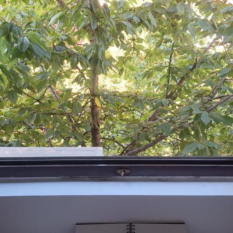 Cityline home Coka - Apartman sa 1 Spavaćom Sobom - 2