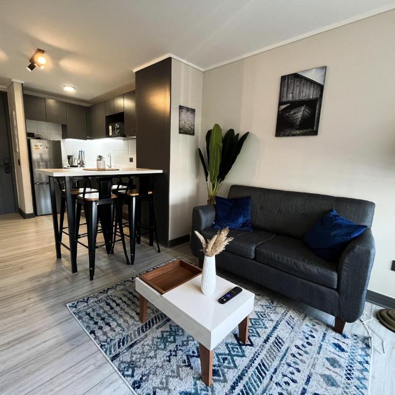 1 habitaciones, Apartamento en Ñuñoa, WIFI - Apartamento de 1 dormitorio - 10