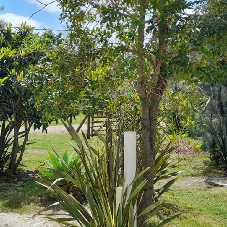 Casa en Punta Colorada - Casa de 2 dormitorios - 21