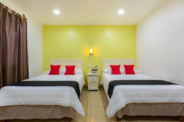 Oaxaca Guest Hotel - Twin Room - 4
