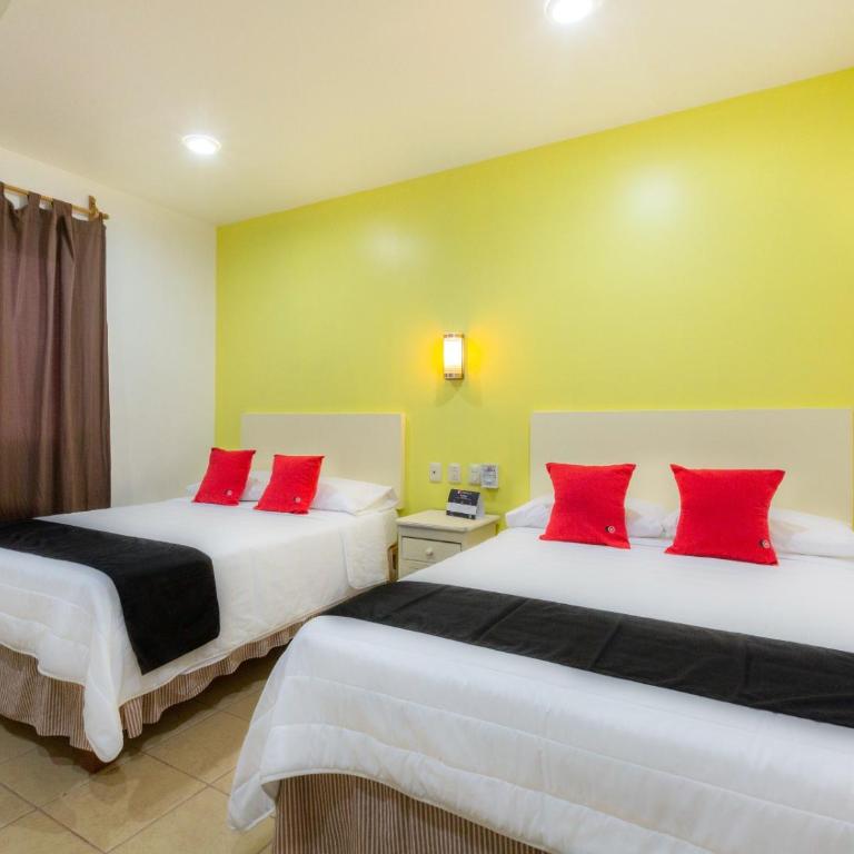 Oaxaca Guest Hotel - Twin Room - 5