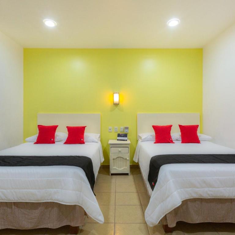 Oaxaca Guest Hotel - Twin Room - 1