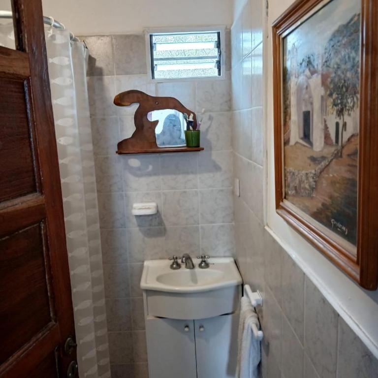 La Colorada - Apartamento de 1 dormitorio - 9