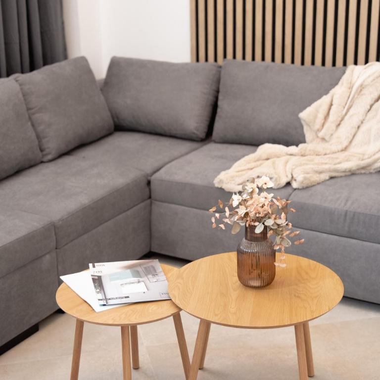 ALOJAMIENTO SANTA ANA 4 - ALQUILER DE TEMPORADA - Deluxe Apartment - 13