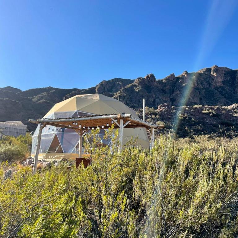 Glamping Potrerillos - Bungalow Familiar - 2