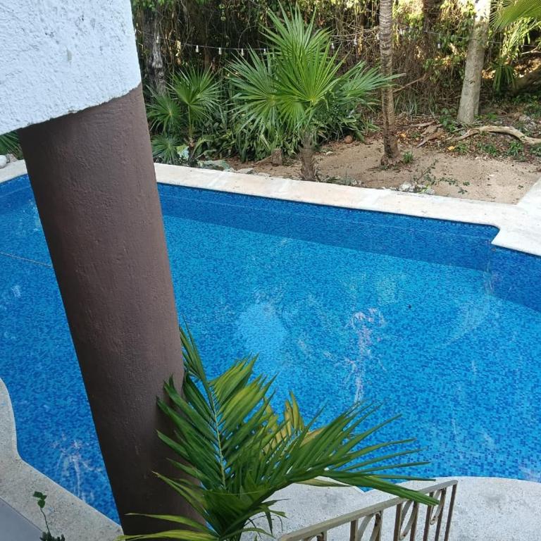 Espacioso Apartamento Gardenias , Playacar 2Bdr - Apartamento Superior de 2 dormitorios - 21
