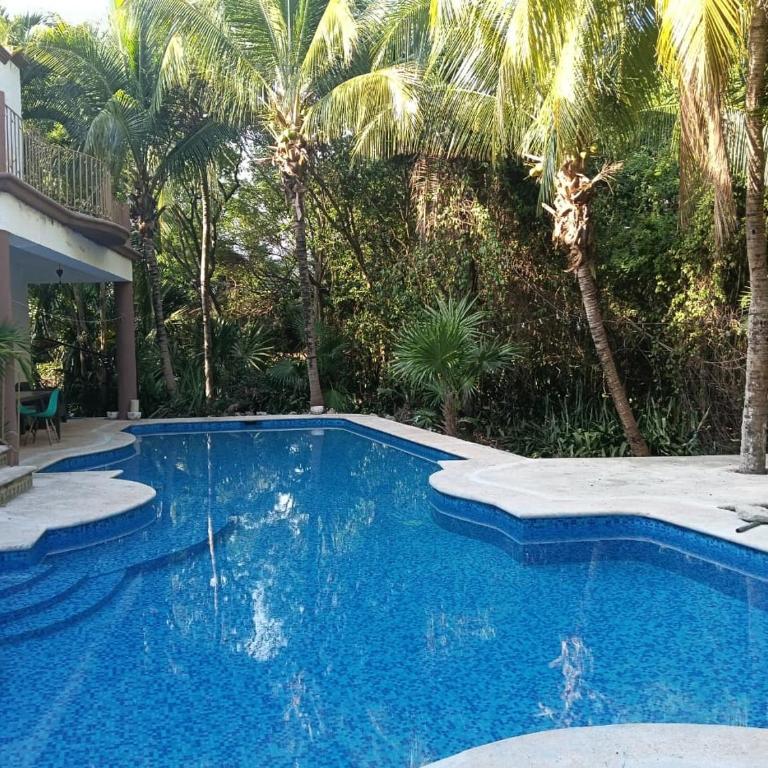 Espacioso Apartamento Gardenias , Playacar 2Bdr - Apartamento Superior de 2 dormitorios - 1