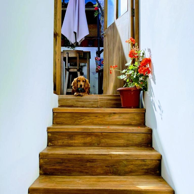 Ecoterra Pampa del Castillo - Habitación Triple Estándar - 2