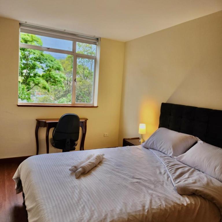 Colferias, Nariño Center - Apartamento Superior de 2 dormitorios - 11