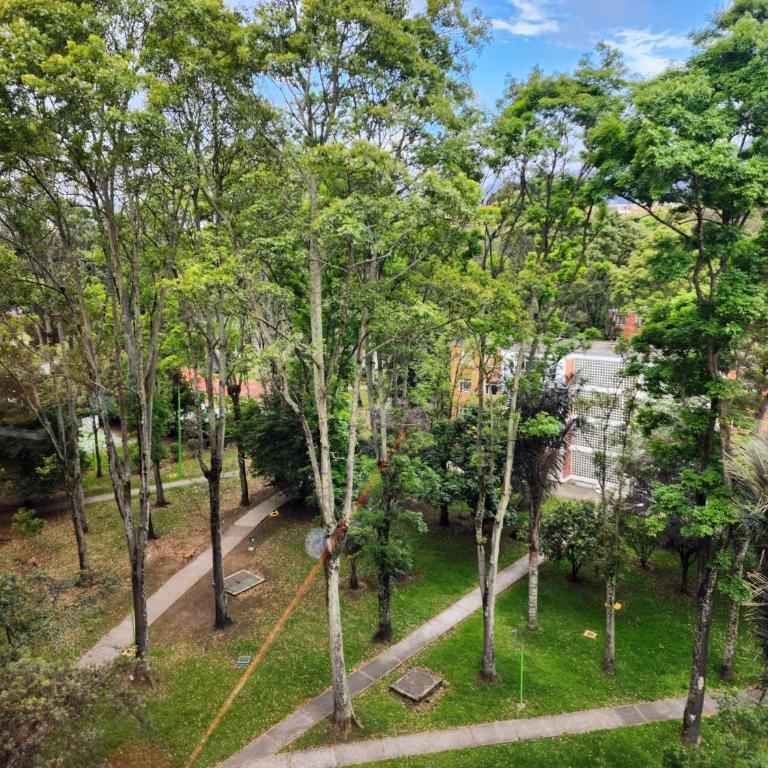 Colferias, Nariño Center - Apartamento Superior de 2 dormitorios - 18