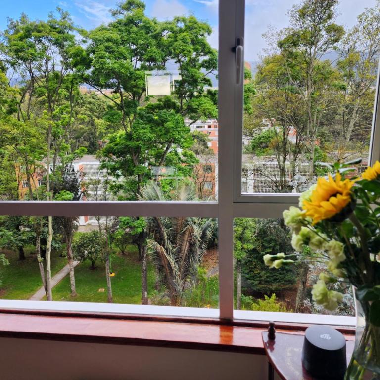 Colferias, Nariño Center - Apartamento Superior de 2 dormitorios - 13