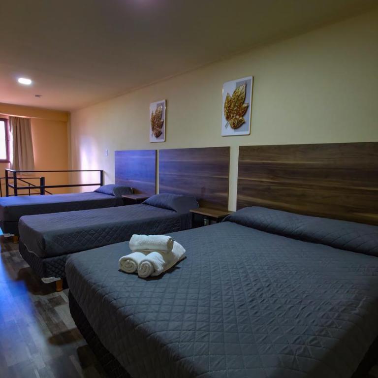 Apartamentos Matices Centro - Apartamento de 1 dormitorio - 6