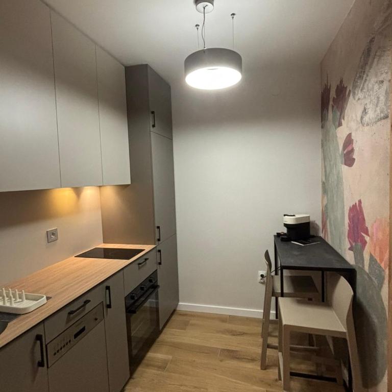 Belgrade Nest - One-Bedroom Apartment - 4