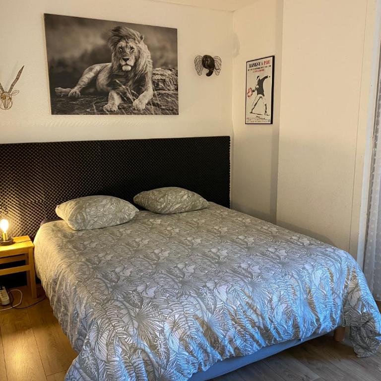 T3 avec grande terrasse et parking - Appartement 2 Chambres - 15