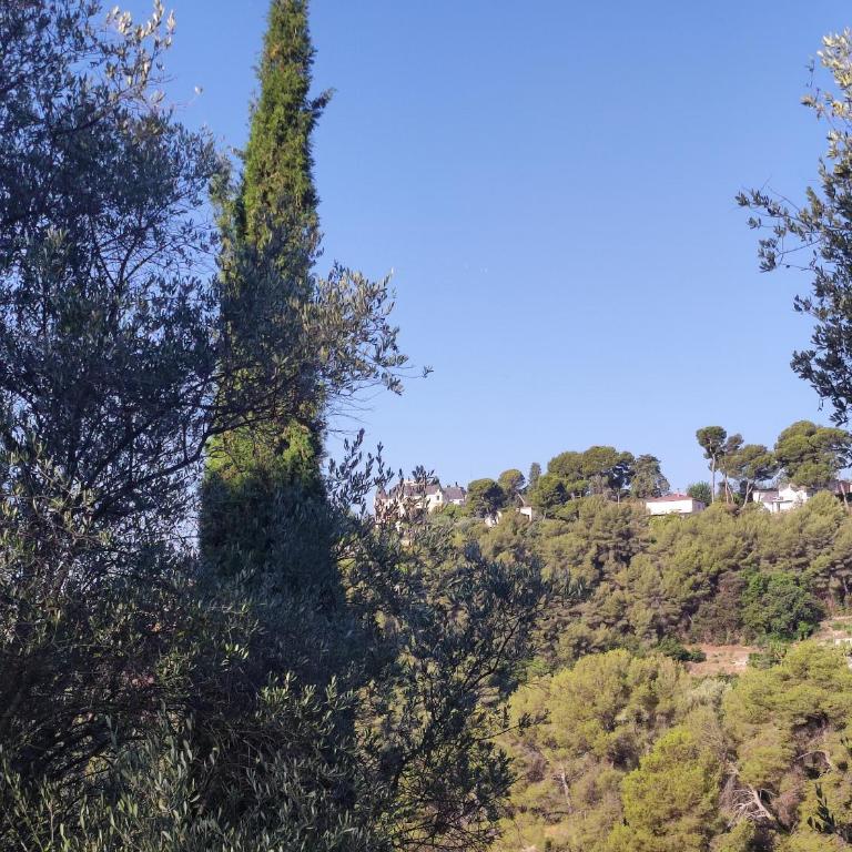 F2 vue mer et montagne au calme - Appartement 1 Chambre - 9