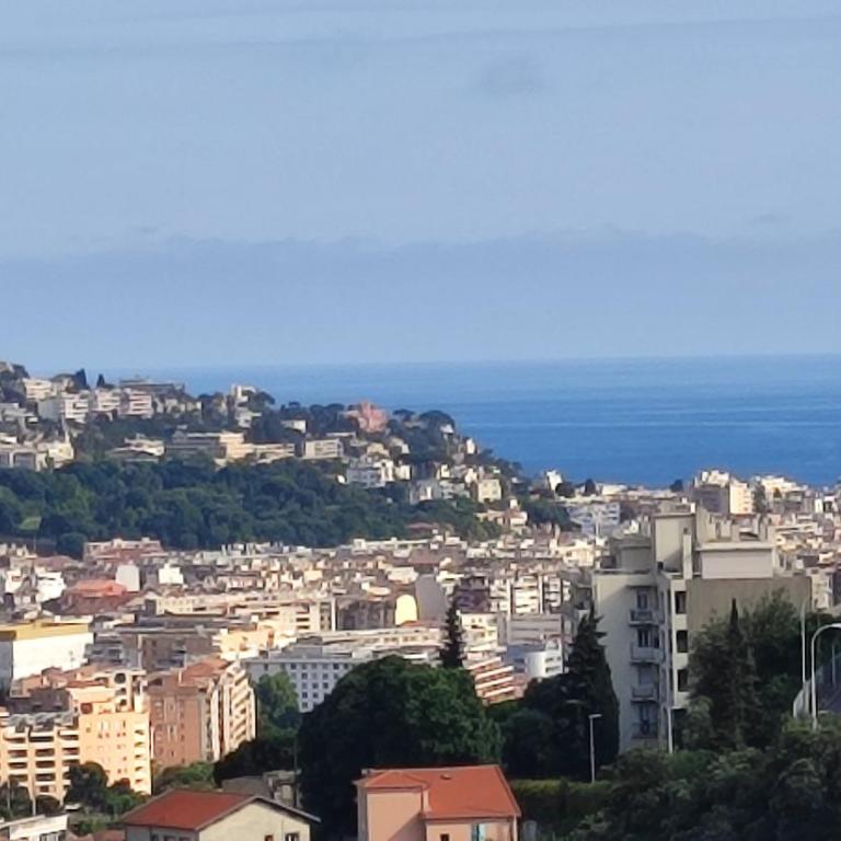F2 vue mer et montagne au calme - Appartement 1 Chambre - 11