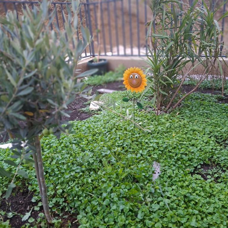Green Harmony - Apartman sa 1 Spavaćom Sobom - 12