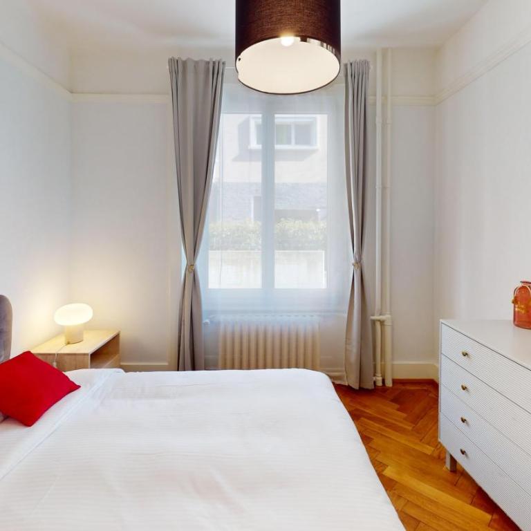 Lausanne City Center Apartments, Minutes Away from the Lake! AM53 - Apartment mit 1 Schlafzimmer - 12