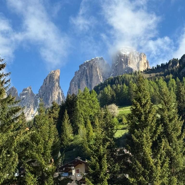 Elegante Appartamento in Campitello fi Fassa - Two-Bedroom Apartment - 24