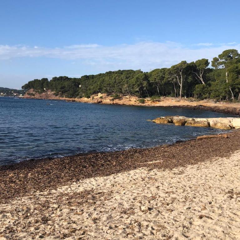 Vue spectaculaire, beau T3, 6 pers, piscine parking - Appartement - 27