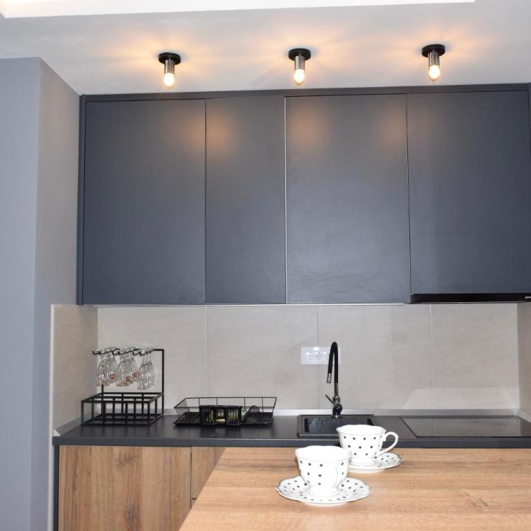 Apartman Zlatiborski Vuk - One-Bedroom Apartment - 11