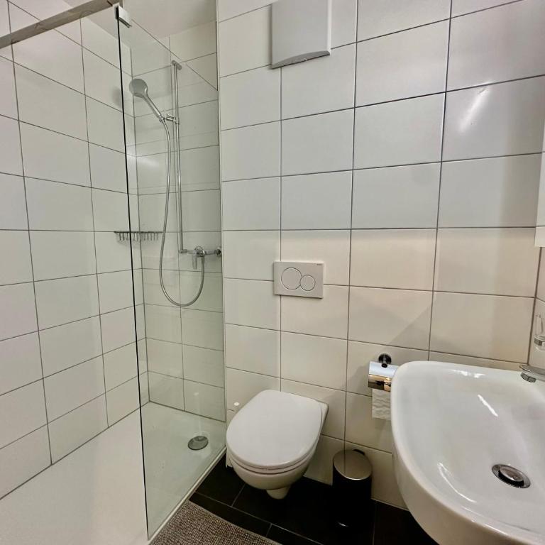 Private & Shared Stays in Lausanne - Camera Singola Standard con Bagno in Comune - 1