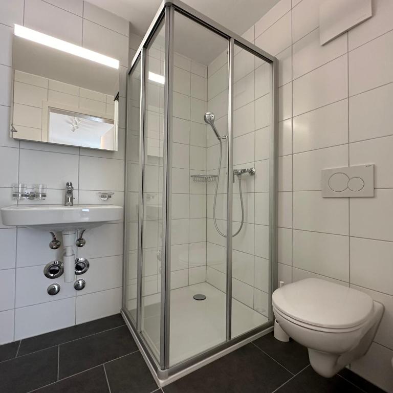 Private & Shared Stays in Lausanne - Camera Matrimoniale con Bagno Privato - 1