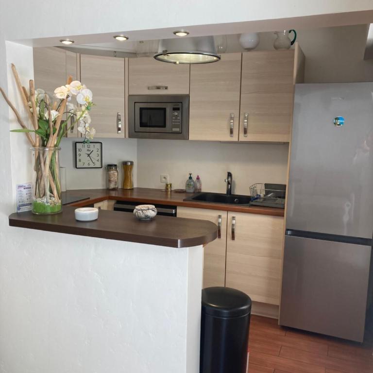 Les alizés Cannes - Appartement - Rez-de-Chaussée - 11